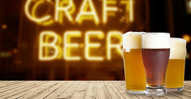 craftbeeragogo.com